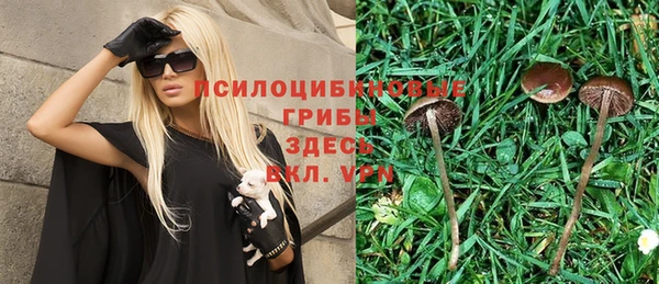 индика Алексин