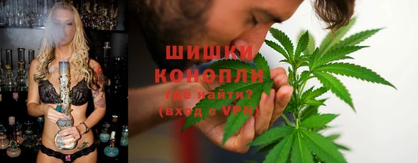 индика Алексин
