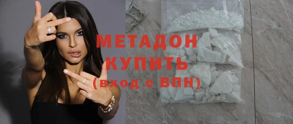 индика Алексин