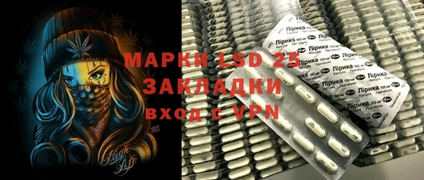 индика Алексин
