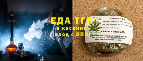 индика Алексин