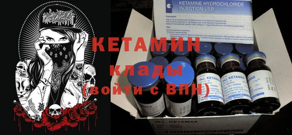 индика Алексин