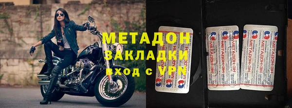индика Алексин