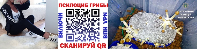 маркетплейс какой сайт  kraken онион  Новоаннинский  Галлюциногенные грибы ЛСД 